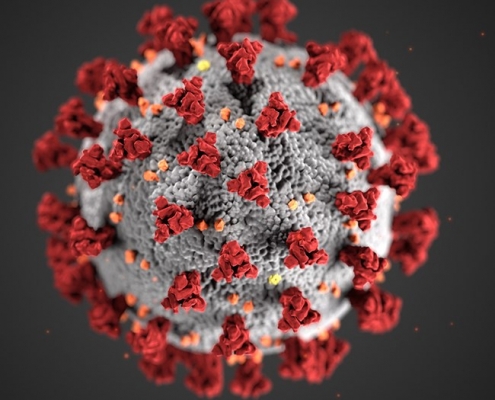 coronavirus